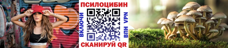 Галлюциногенные грибы Magic Shrooms  Гаврилов-Ям 